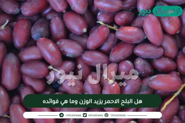 هل البلح الاحمر يزيد الوزن وما هي فوائده