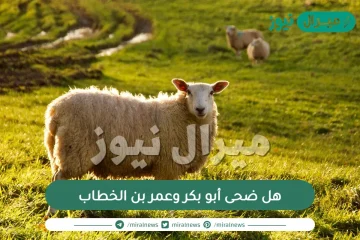 هل ضحى أبو بكر وعمر بن الخطاب