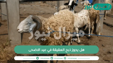 هل يجوز ذبح العقيقة في عيد الاضحى