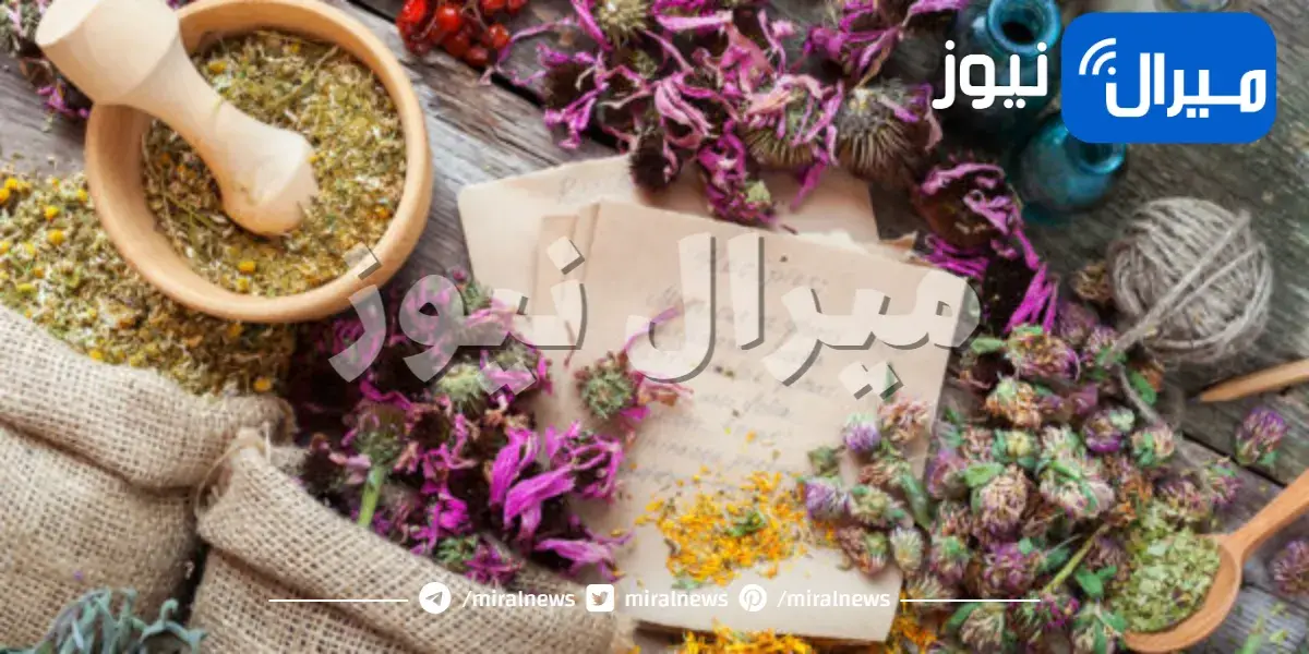 ٧ أعشاب مفيدة لمريض السكري