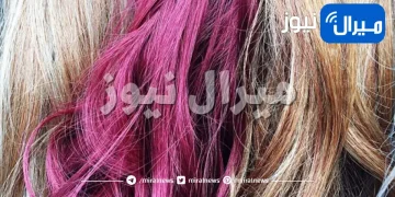٧ صبغات طبيعية للشعر