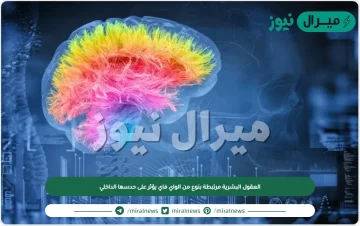 العقول البشرية مرتبطة بنوع من الواي فاي يؤثر على حدسها الداخلي