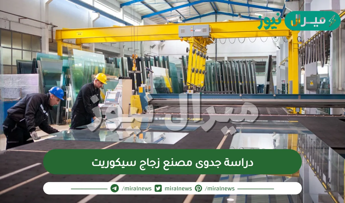 دراسة جدوى مصنع زجاج سيكوريت