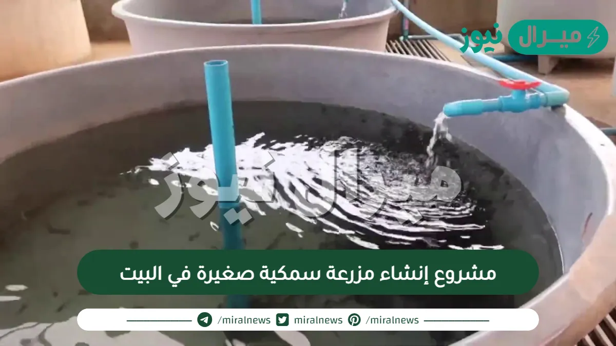 مشروع إنشاء مزرعة سمكية صغيرة في البيت