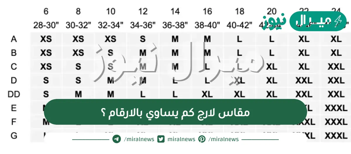 مقاس لارج كم يساوي بالارقام ؟