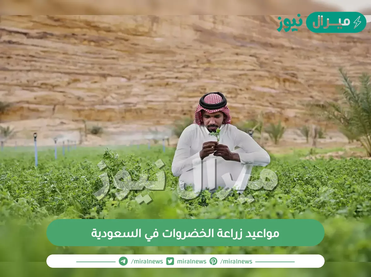 مواعيد زراعة الخضروات في السعودية