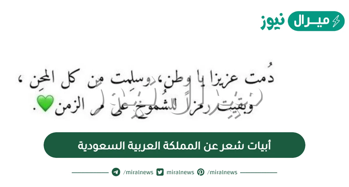 أبيات شعر عن المملكة العربية السعودية