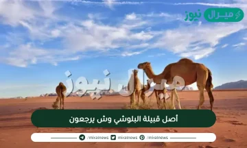 أصل قبيلة البلوشي وش يرجعون وما اصلهم ويكيبيديا