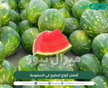 أفضل أنواع البطيخ في السعودية وهل له اضرار