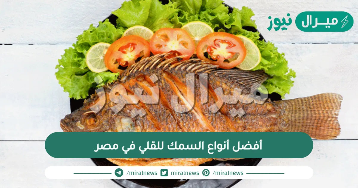 أفضل أنواع السمك للقلي في مصر وطريقة تحضيره