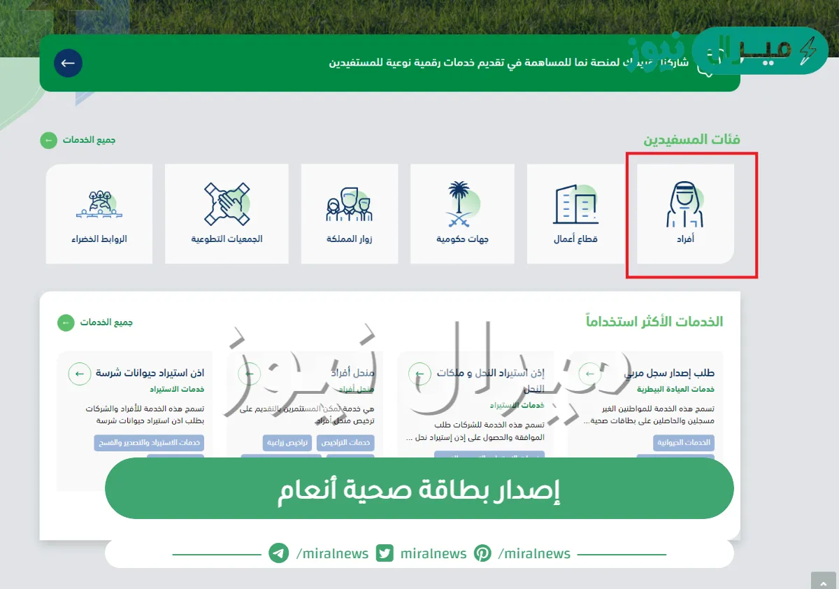 إصدار بطاقة صحية أنعام  وما هي شروط الحصول على البطاقة الصحية أنعام