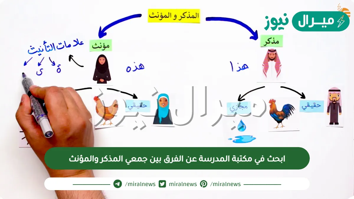 ابحث في مكتبة المدرسة عن الفرق بين جمعي المذكر والمؤنث