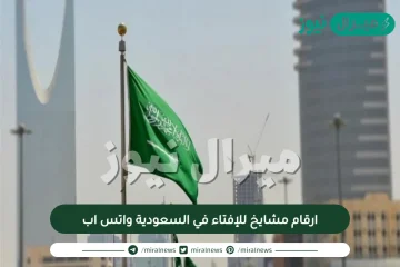 ارقام مشايخ للإفتاء في السعودية واتس اب