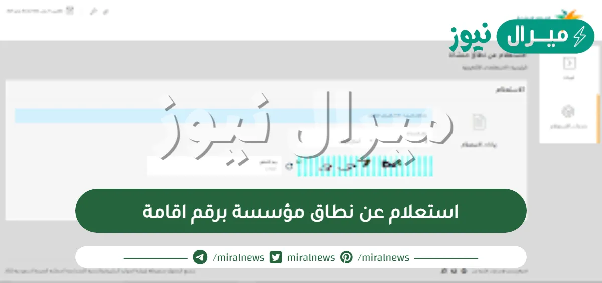 استعلام عن نطاق مؤسسة برقم اقامة