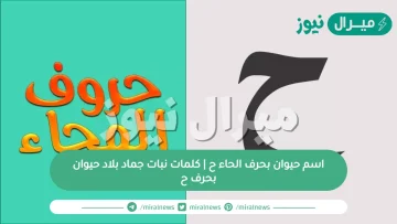 اسم حيوان بحرف الحاء ح | كلمات نبات جماد بلاد حيوان بحرف ح