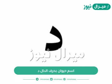 اسم حيوان بحرف الدال د | كلمات نبات جماد بلاد حيوان بحرف د