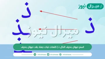 اسم حيوان بحرف الذال ذ | كلمات نبات جماد بلاد حيوان بحرف