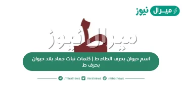 اسم حيوان بحرف الطاء ط  | كلمات نبات جماد بلاد حيوان بحرف ط