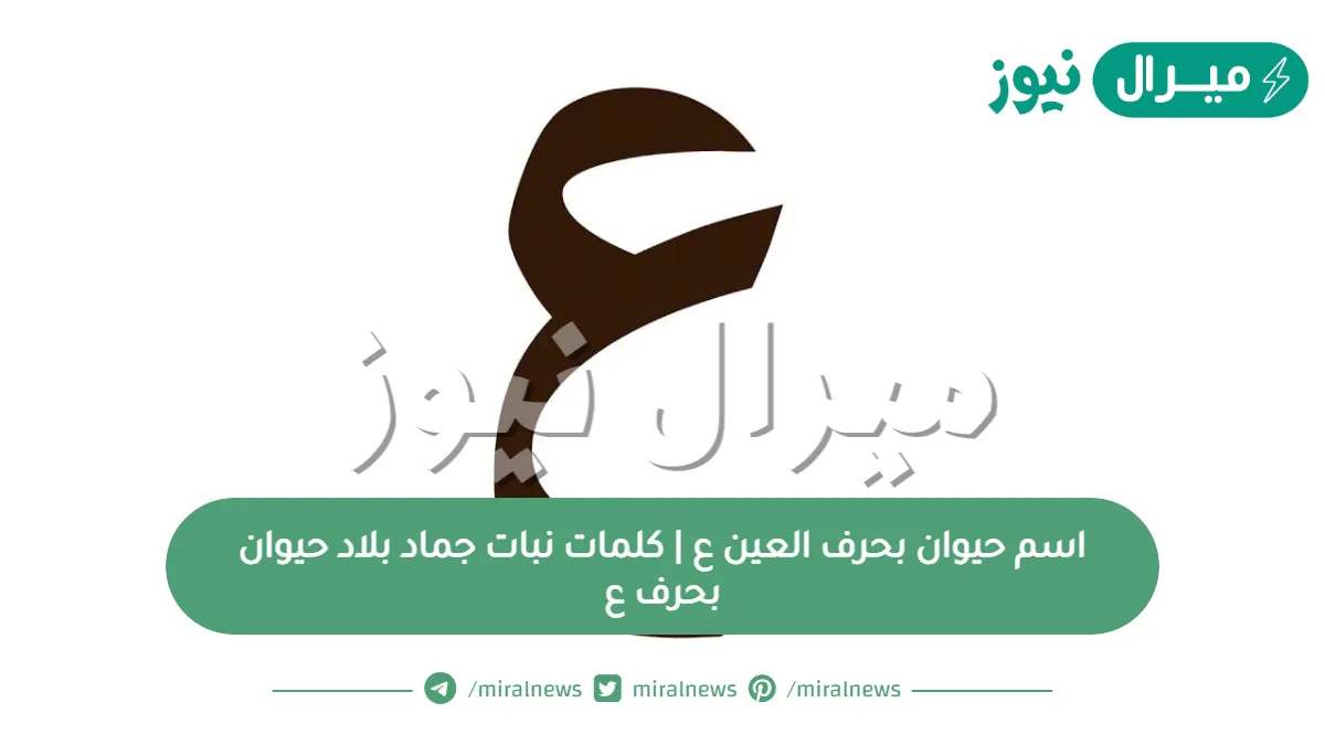 اسم حيوان بحرف العين ع | كلمات نبات جماد بلاد حيوان بحرف ع