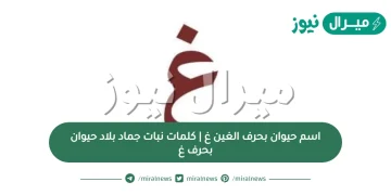 اسم حيوان بحرف الغين غ | كلمات نبات جماد بلاد حيوان بحرف غ