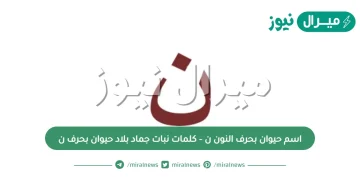 اسم حيوان بحرف النون ن – كلمات نبات جماد بلاد حيوان بحرف ن