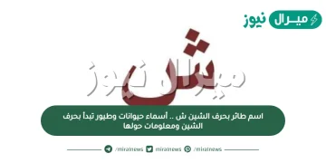 اسم طائر بحرف الشين ش .. أسماء حيوانات وطيور تبدأ بحرف الشين ومعلومات حولها