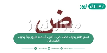 اسم طائر بحرف الضاد ض .. أغرب أسماء طيور تبدأ بحرف الضاد ض