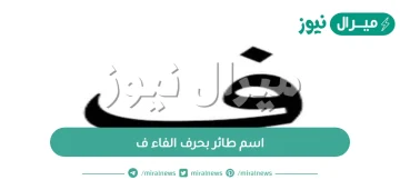 اسم طائر بحرف الفاء ف .. اسم بلاد وحيوان وجماد بحرف الفاء ف