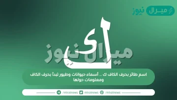 اسم طائر بحرف الكاف ك .. أسماء حيوانات وطيور تبدأ بحرف الكاف ومعلومات حولها