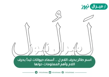 اسم طائر بحرف اللام ل .. أسماء حيوانات تبدأ بحرف اللام وأهم المعلومات حولها