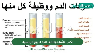 اكتب قائمه بوظائف الدم الاربع الرئيسيه