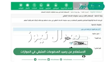 الاستعلام عن رصيد المدفوعات المتبقي في الجوازات برابط مباشر