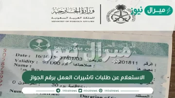 الاستعلام عن طلبات تاشيرات العمل برقم الجواز