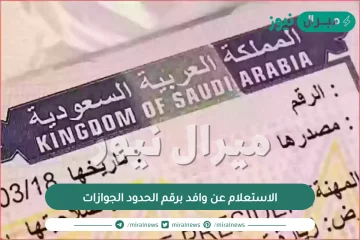 الاستعلام عن وافد برقم الحدود الجوازات والاستعلام عن رصيد الجوازات