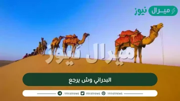 البدراني وش يرجع وما اصلهم ويكيبيديا