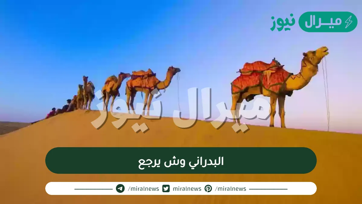 البدراني وش يرجع وما اصلهم ويكيبيديا