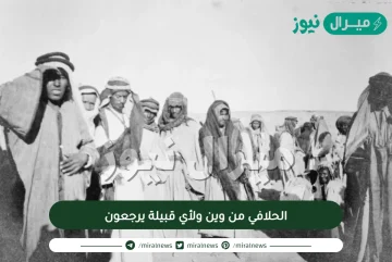 الحلافي من وين ولأي قبيلة يرجعون