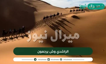 الراشدي وش يرجعون| شجرة قبيلة الراشدي