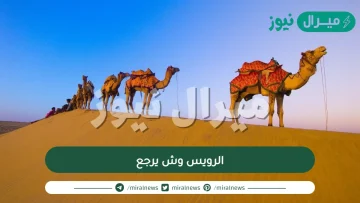 الرويس وش يرجع