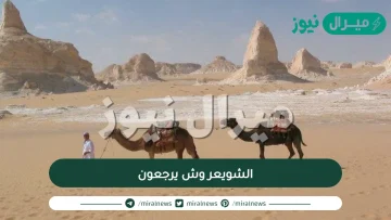 الشويعر من وين قبيلة الشويعر وش يرجعون