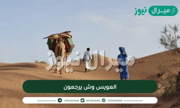 العويس وش يرجعون