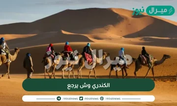 الكندري وش يرجع | أصل عائلة الكندري من وين