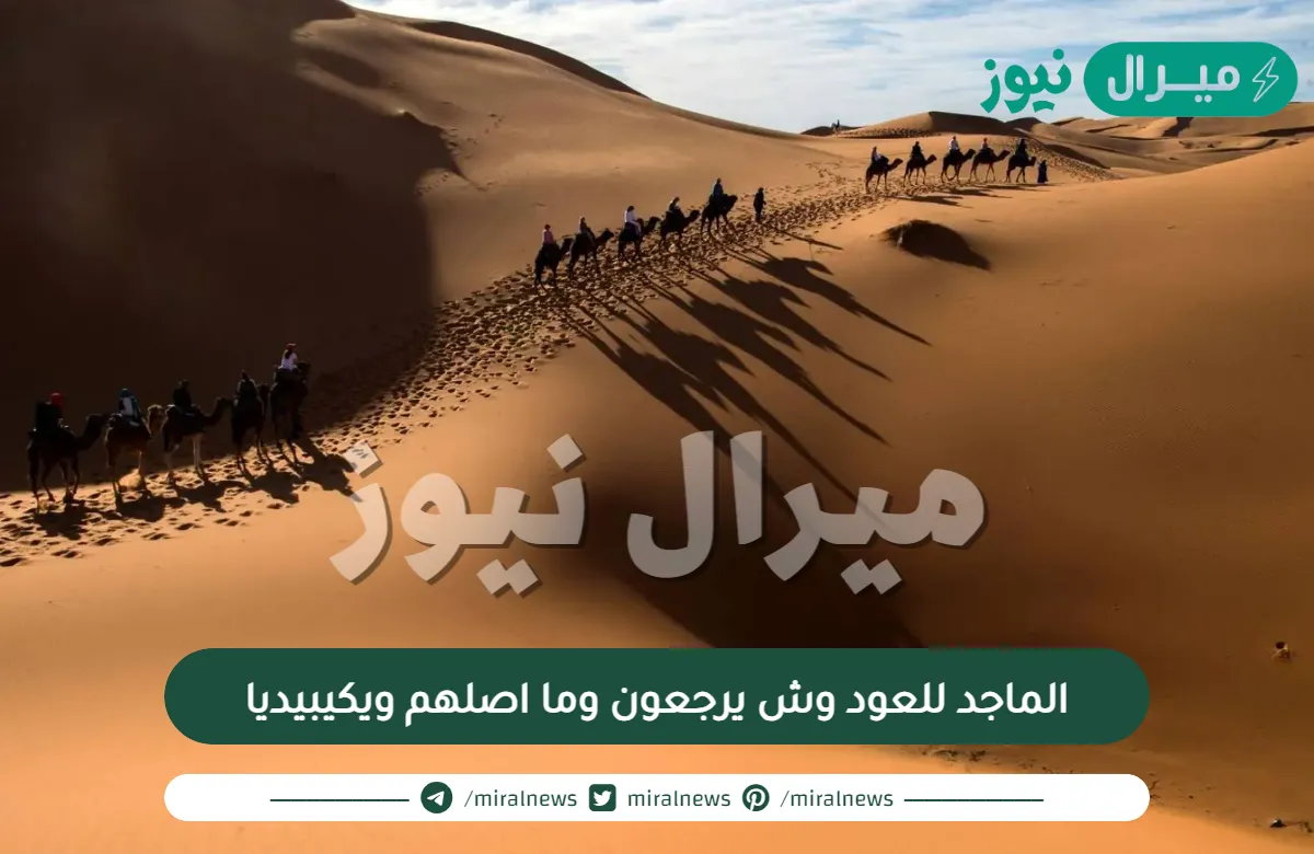 الماجد للعود وش يرجعون وما اصلهم ويكيبيديا