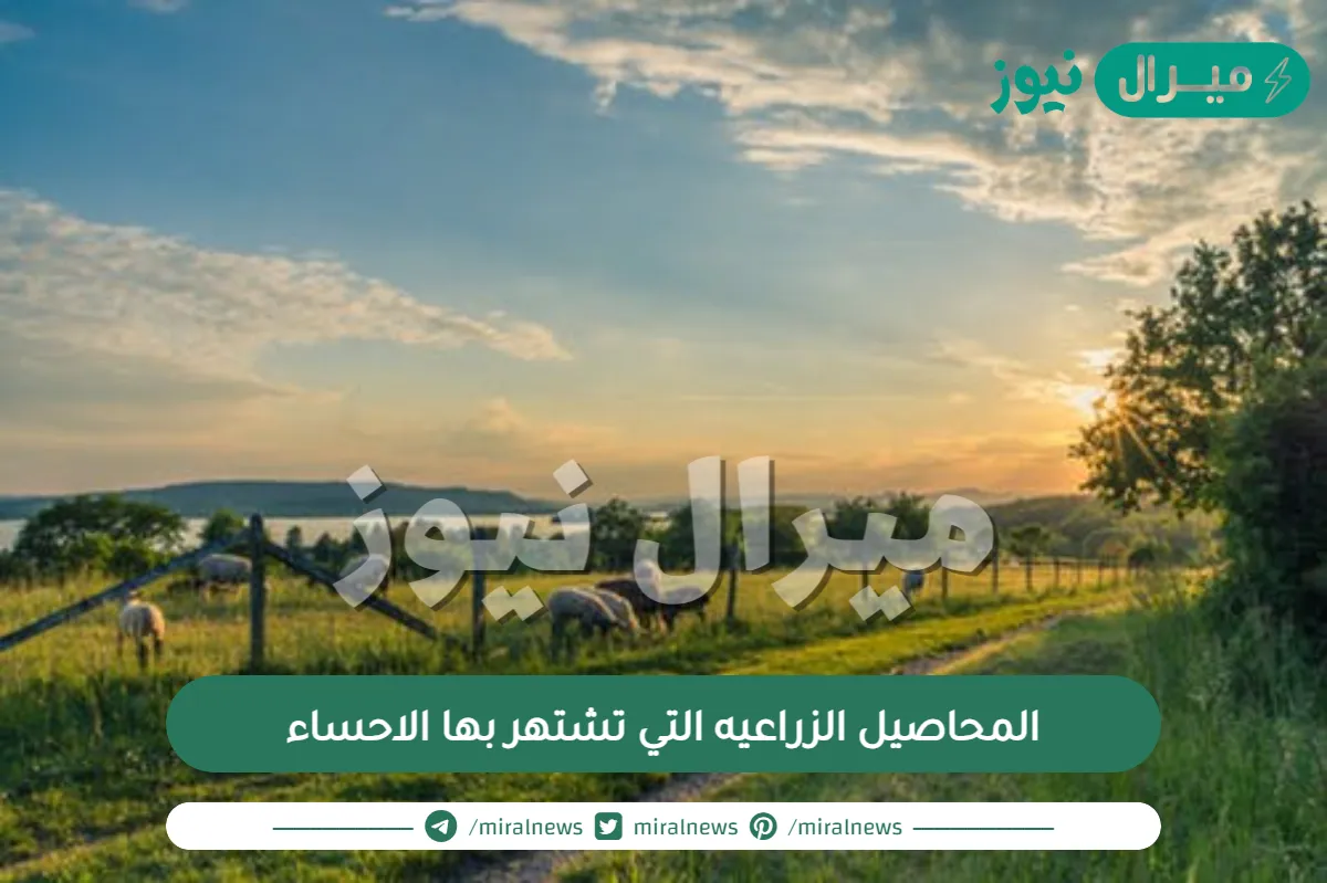 المحاصيل الزراعيه التي تشتهر بها الاحساء