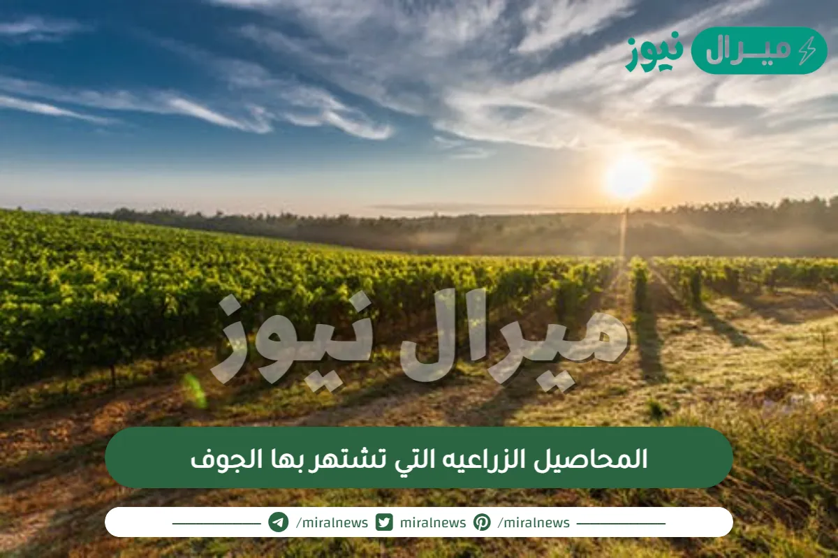 المحاصيل الزراعيه التي تشتهر بها الجوف