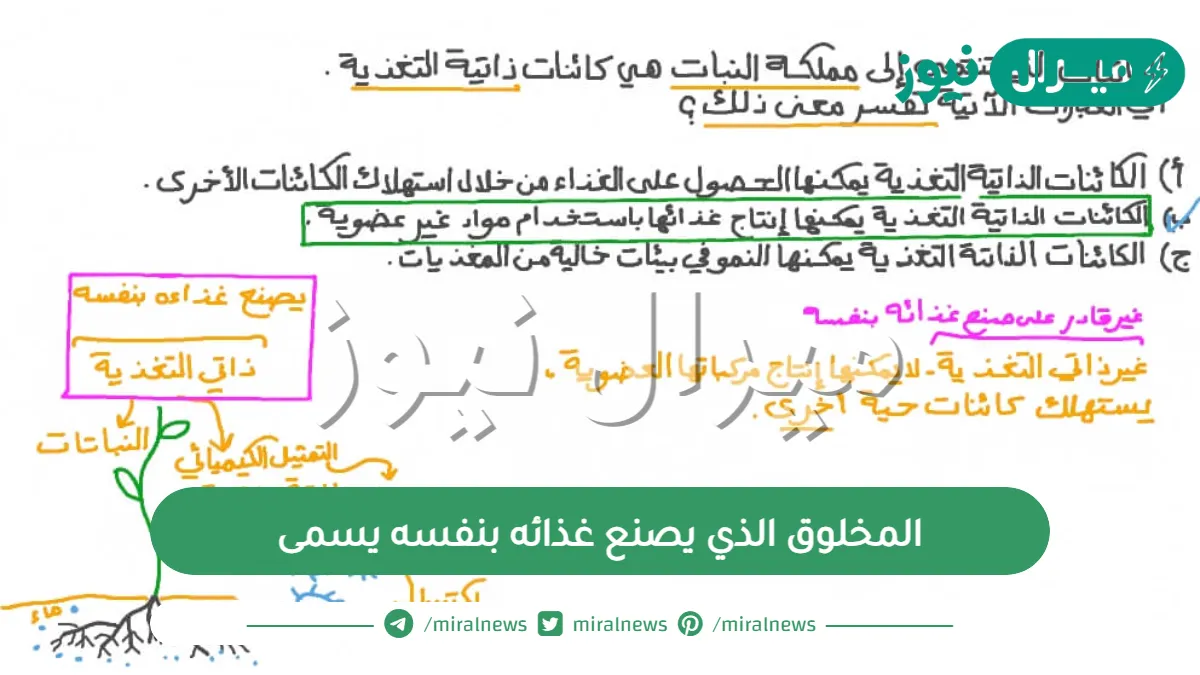 المخلوق الذي يصنع غذائه بنفسه يسمى