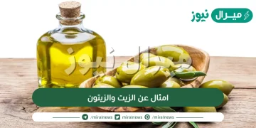 امثال عن الزيت والزيتون