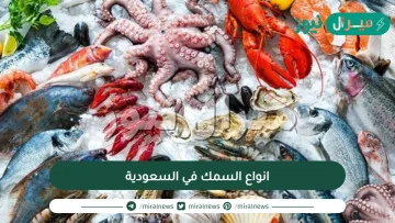 انواع السمك في السعودية