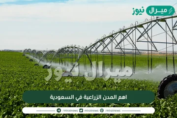 اهم المدن الزراعية في السعودية