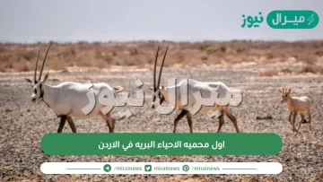 اول محميه الاحياء البريه في الاردن